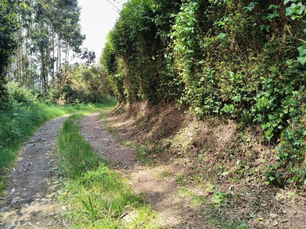 Terreno en venta en Cariño, A Coruña photo 5