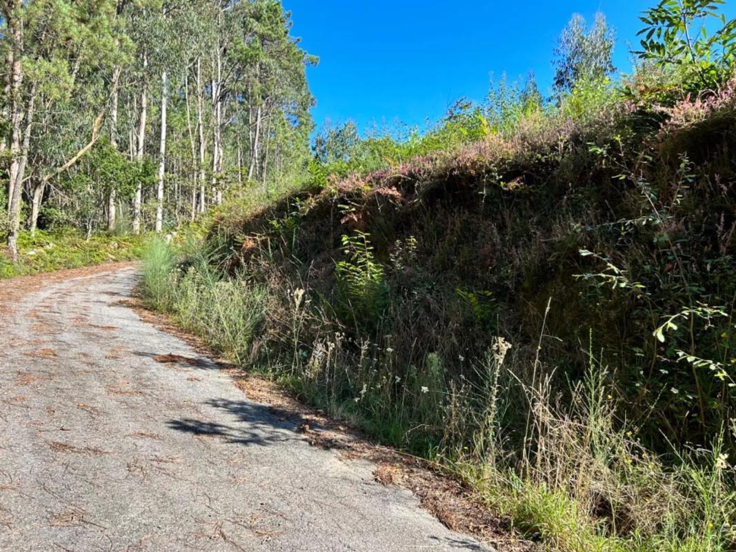 Terreno en venta en Boiro, A Coruña photo 2