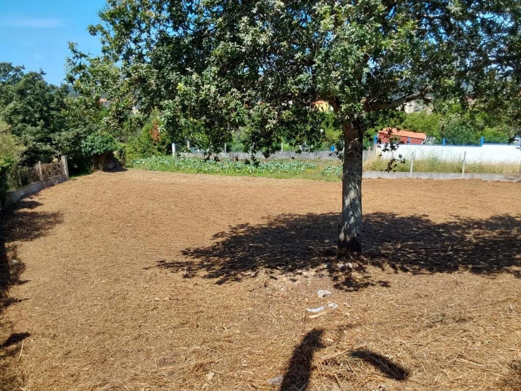 Terreno en venta en Ribeira, A Coruña photo 3