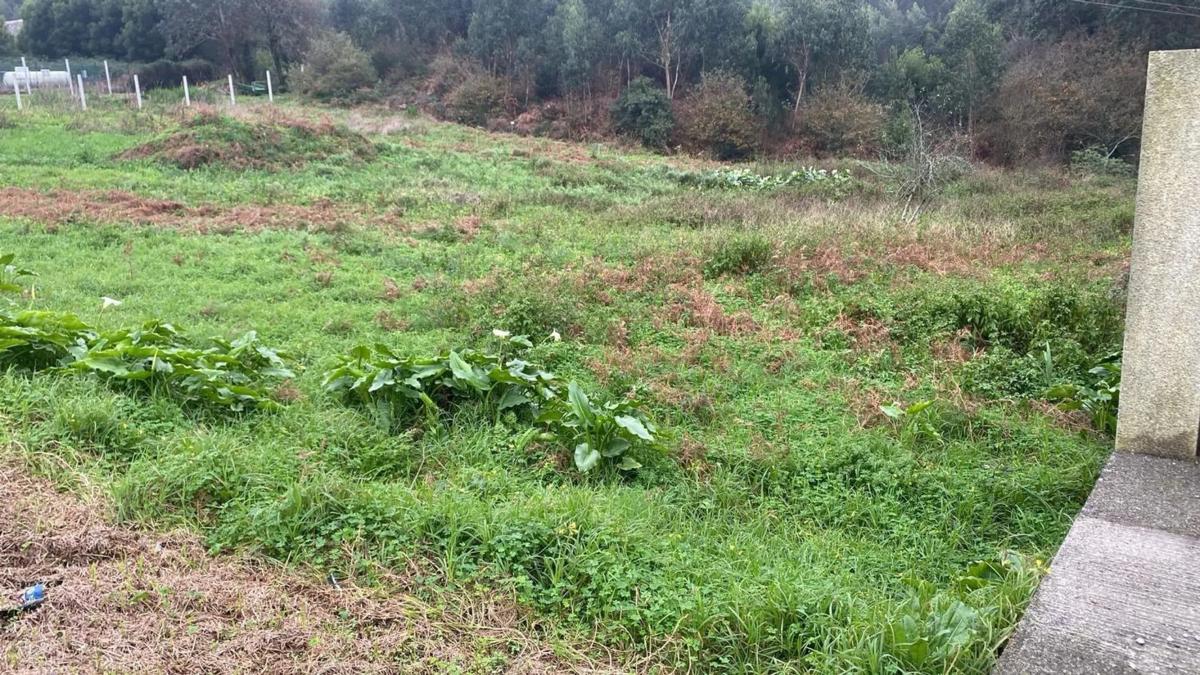 Terreno en venta en Ribeira, A Coruña photo 2