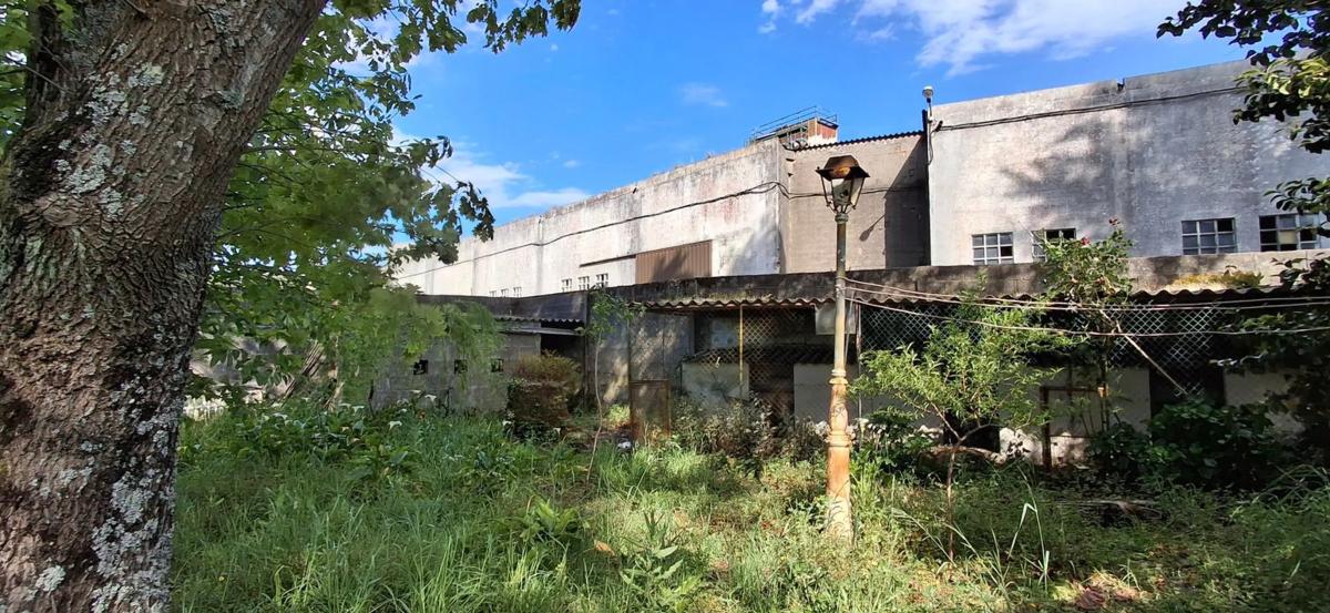Terreno en venta en Boiro, A Coruña photo 3