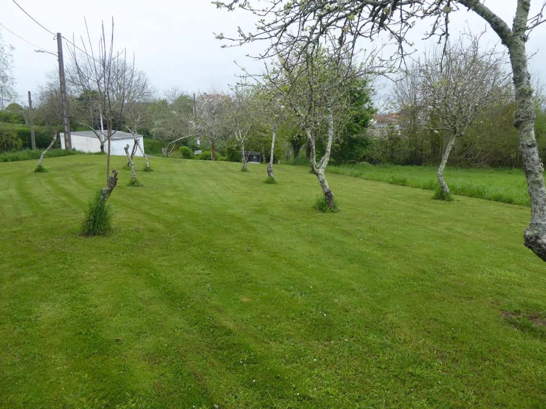 Terreno en venta en Paderne, A Coruña photo 2