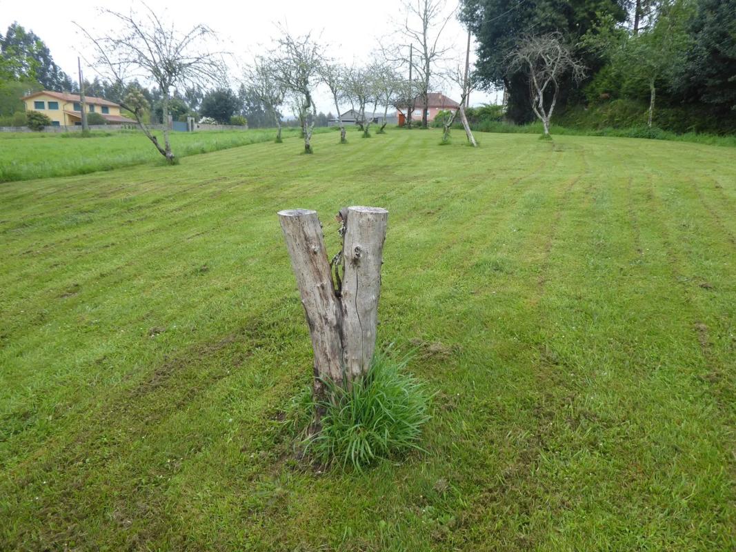 Terreno en venta en Paderne, A Coruña photo 3