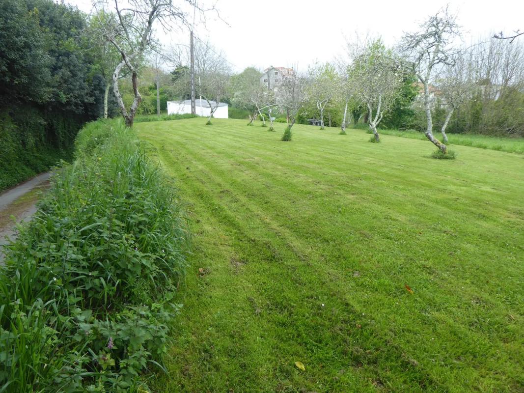 Terreno en venta en Paderne, A Coruña photo 5