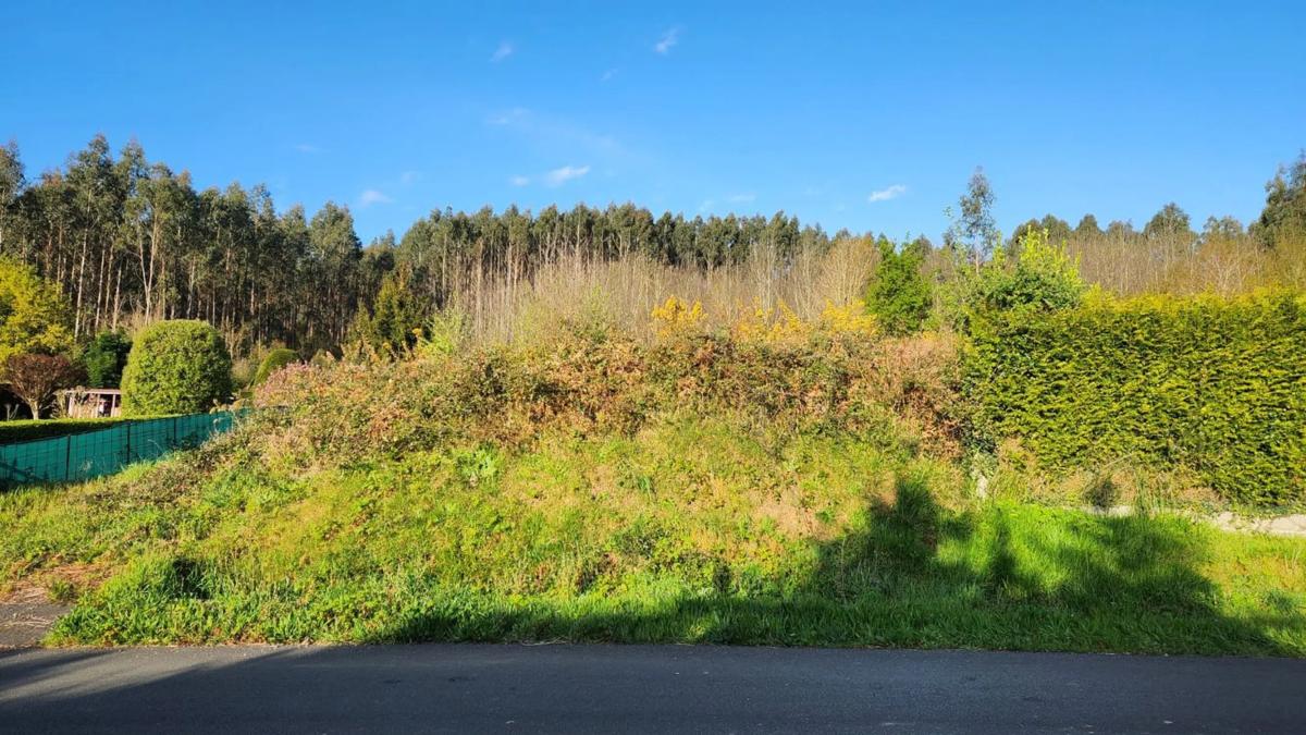 Land for sale in Oza-Cesuras, A Coruña photo 1