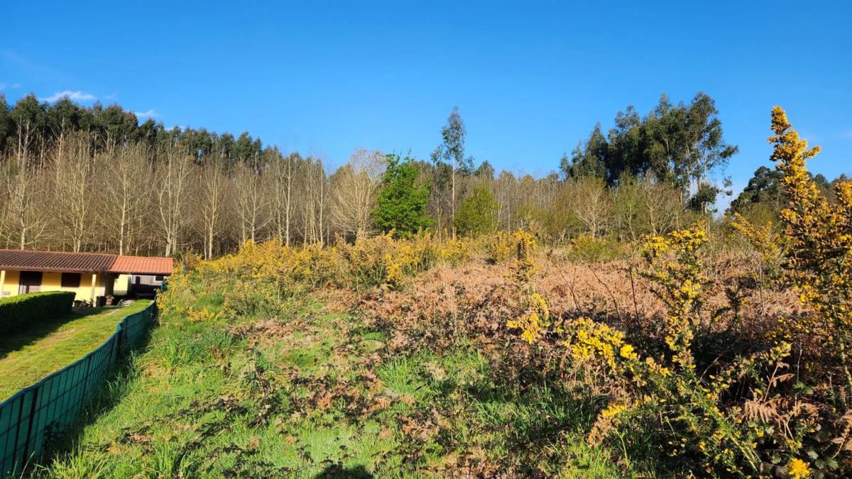 Land for sale in Oza-Cesuras, A Coruña photo 3