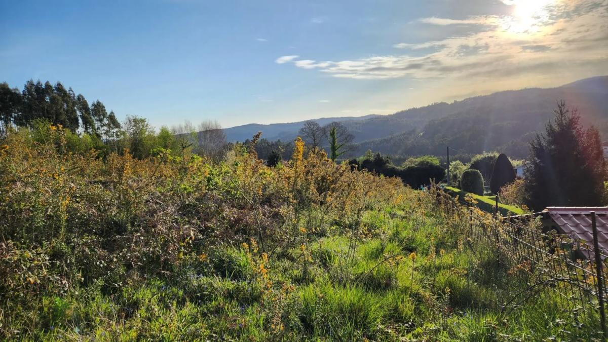 Land for sale in Oza-Cesuras, A Coruña photo 5