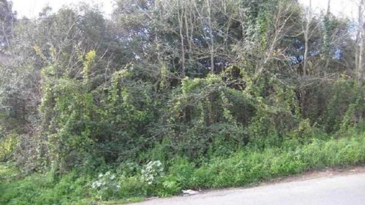 Terreno en venta en Culleredo, A Coruña photo 3