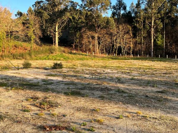 Terreno en Biduido de Abaixo s/n Sn photo 3