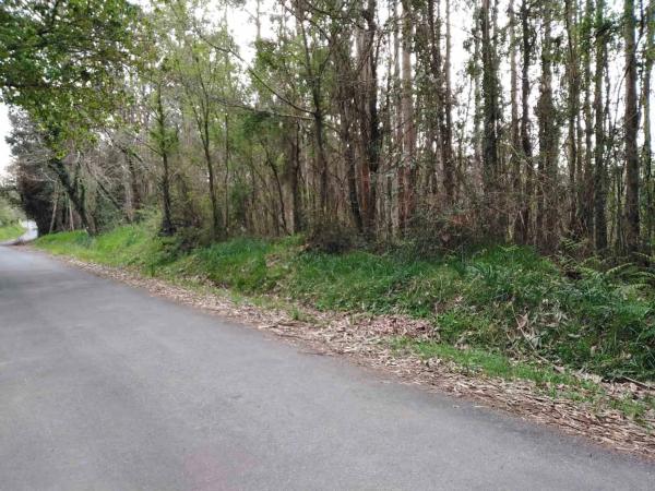 Terreno en carretera Limodre s/n thumbnail 1