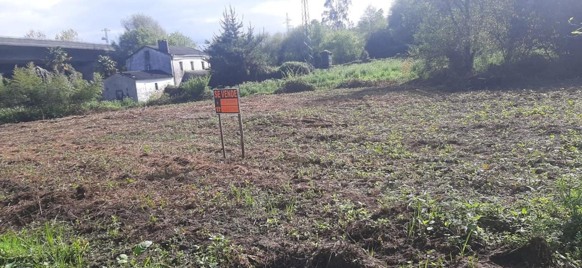 Land for sale in Bergondo, A Coruña photo 2