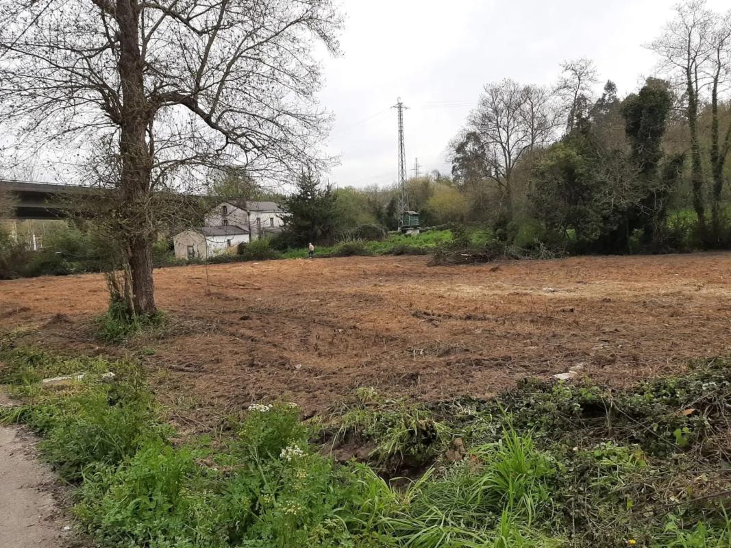 Land for sale in Bergondo, A Coruña photo 4