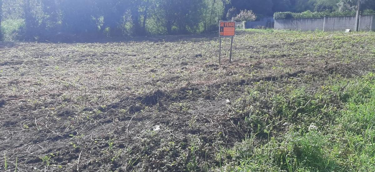 Land for sale in Bergondo, A Coruña photo 5