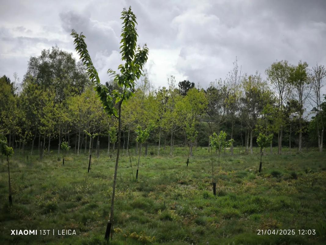 Terreno en venta en Teo, A Coruña photo 1