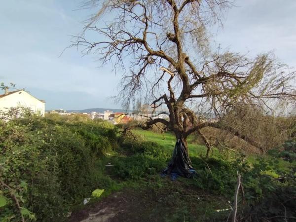 Terreno en Catabois - Santa María photo 4