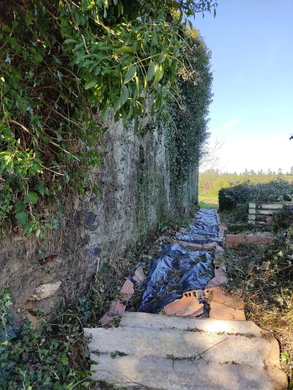 Terreno en venta en Ortigueira, A Coruña photo 3