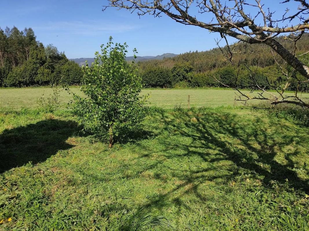 Terreno en venta en Ortigueira, A Coruña photo 4