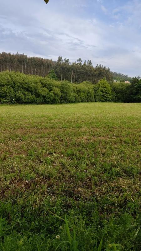 Terreno en venta en Ortigueira, A Coruña photo 5