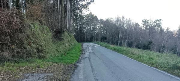 Terreno en Carral photo 1