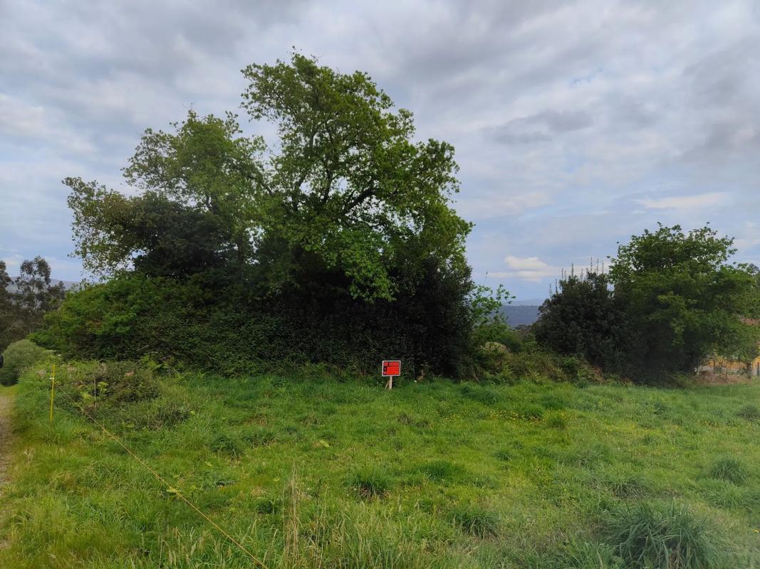Land for sale in Outes, A Coruña photo 5