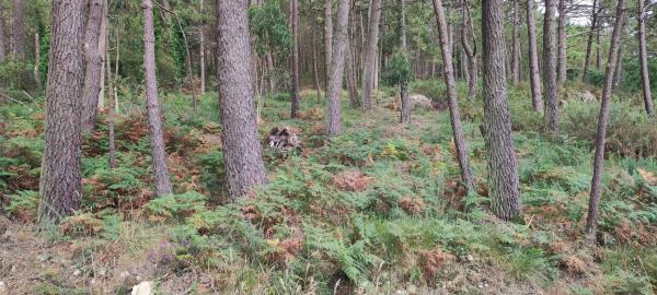 Terreno en Praia de Lago S/n s/n sn photo 2