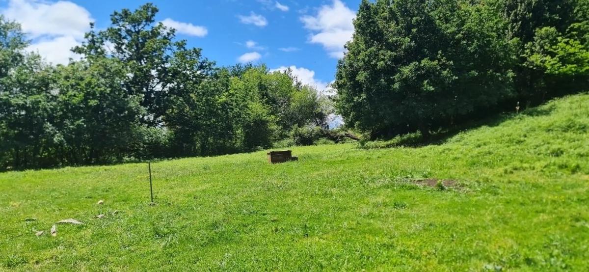 Land for sale in Bergondo, A Coruña photo 2