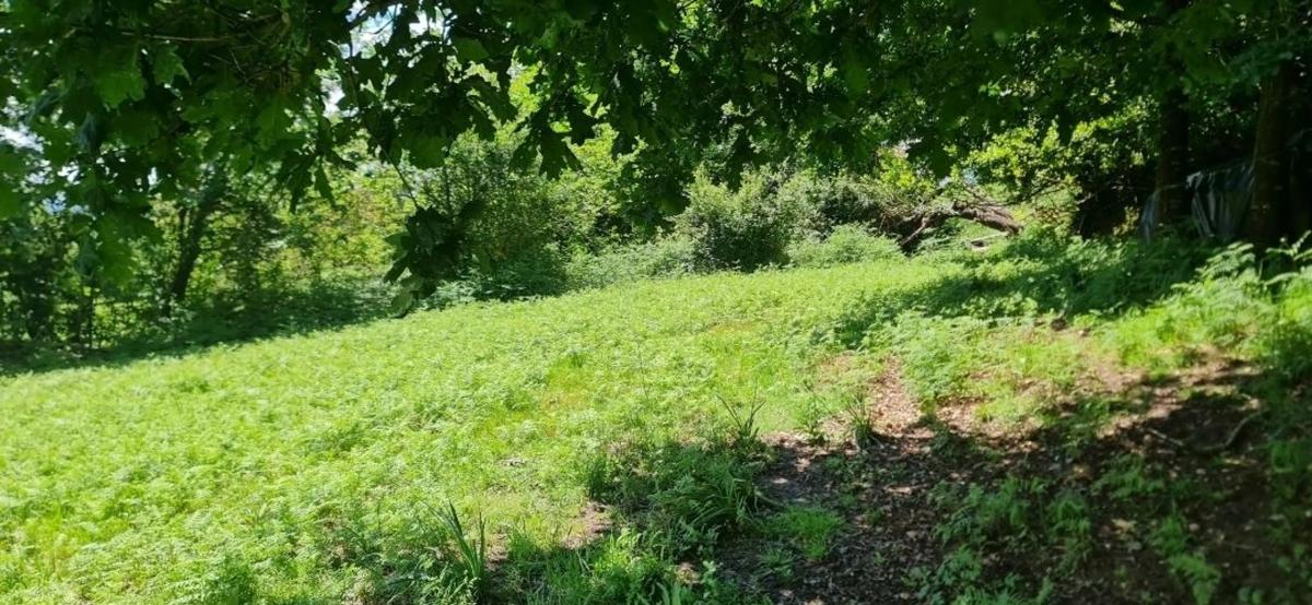 Land for sale in Bergondo, A Coruña photo 3