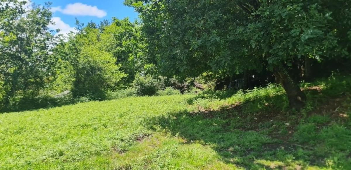 Land for sale in Bergondo, A Coruña photo 4