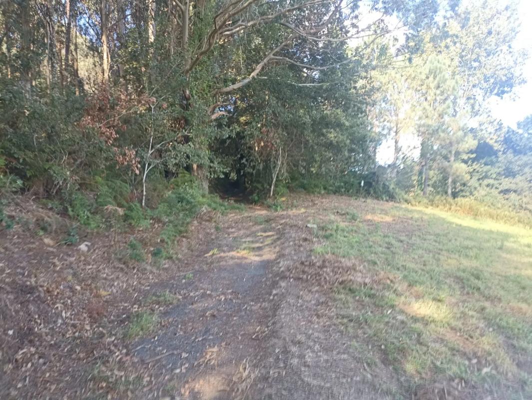Terreno en venta en Brion, A Coruña photo 3