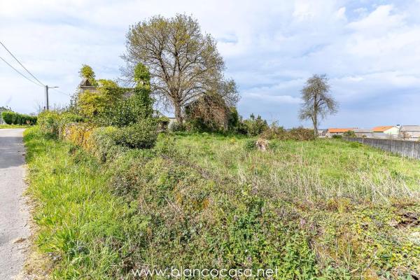 Terreno en Carballo photo 2