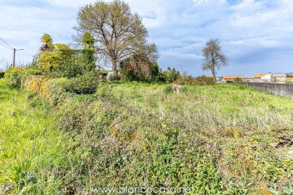 Terreno en Carballo photo 3