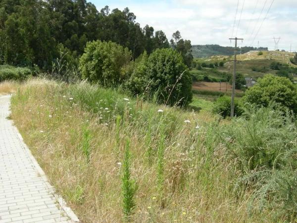 Terreno en calle o Souto, 41 d photo 2