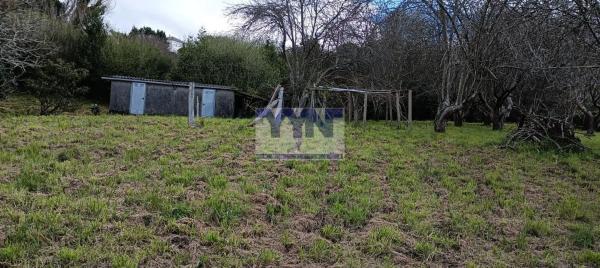 Terreno en Cedeira photo 1