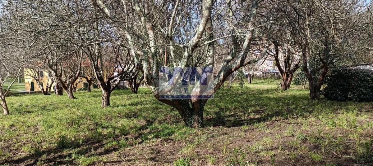Terreno en venta en Cedeira, A Coruña photo 3