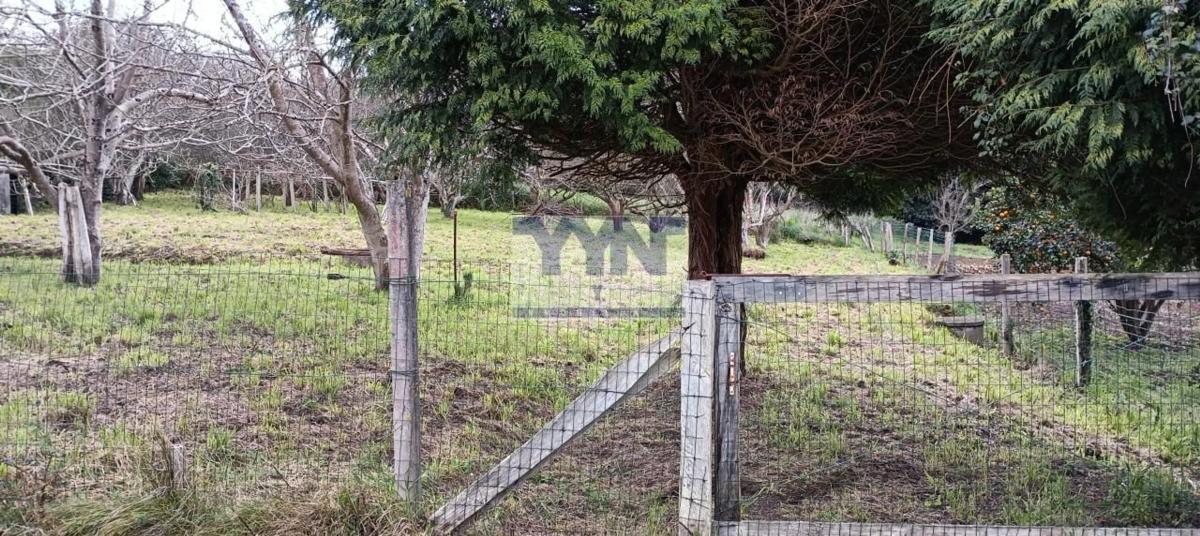 Terreno en venta en Cedeira, A Coruña photo 5