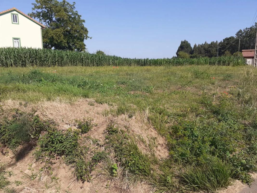 Land for sale in Laracha, A Coruña photo 1