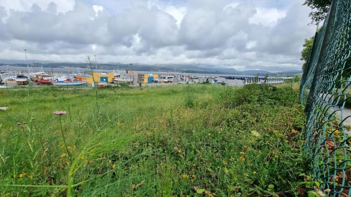 Terreno en venta en Rianxo, A Coruña photo 2