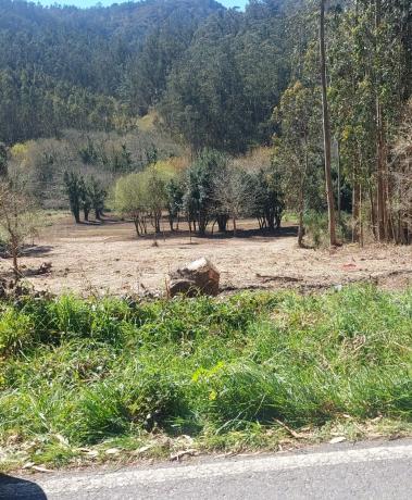 Terreno en Balai, 511 photo 2