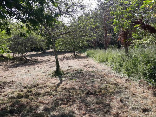 Terreno en Campo Cruz, 1  d photo 2
