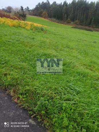 Terreno en Pontedeume photo 2