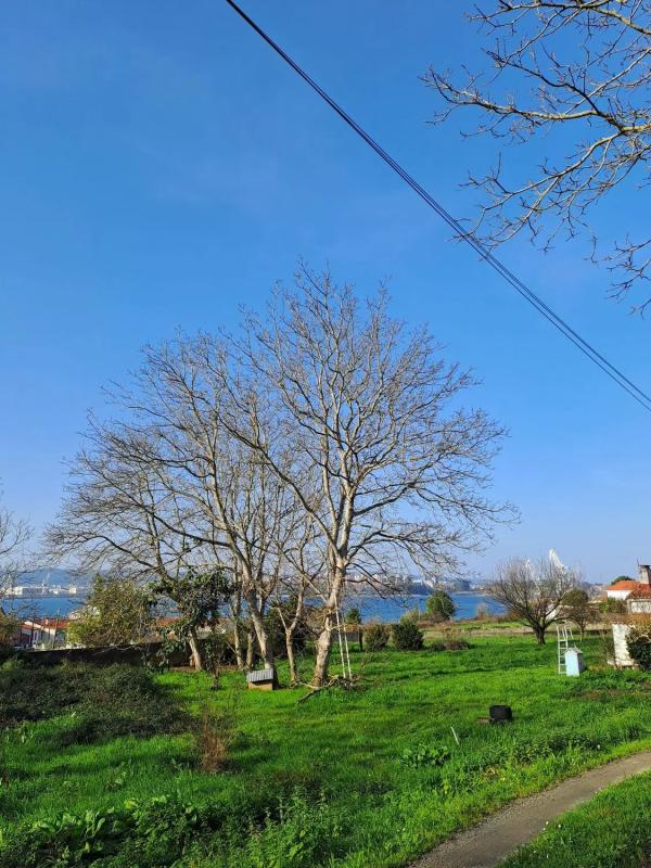 Działka na sprzedaż w Fenec, A Coruña photo 1