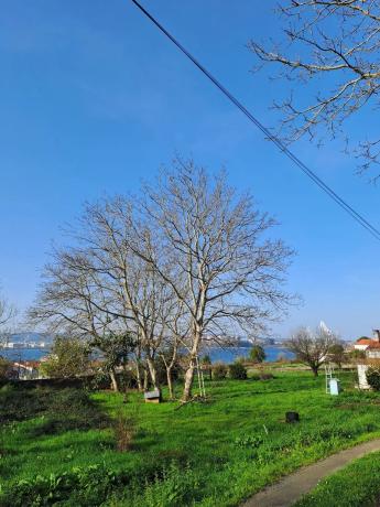 Terreno en calle Pablo Ares Feal, 51 photo 1