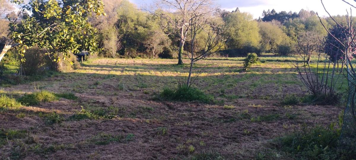 Terreno en venta en Bergondo, A Coruña photo 2
