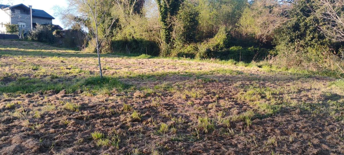 Terreno en venta en Bergondo, A Coruña photo 4