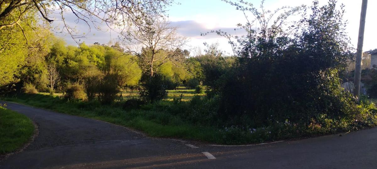 Terreno en venta en Bergondo, A Coruña photo 5