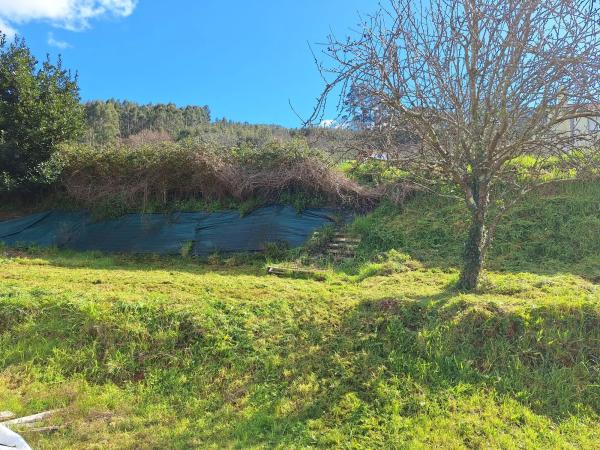 Terreno en Lagares s/n sn photo 2