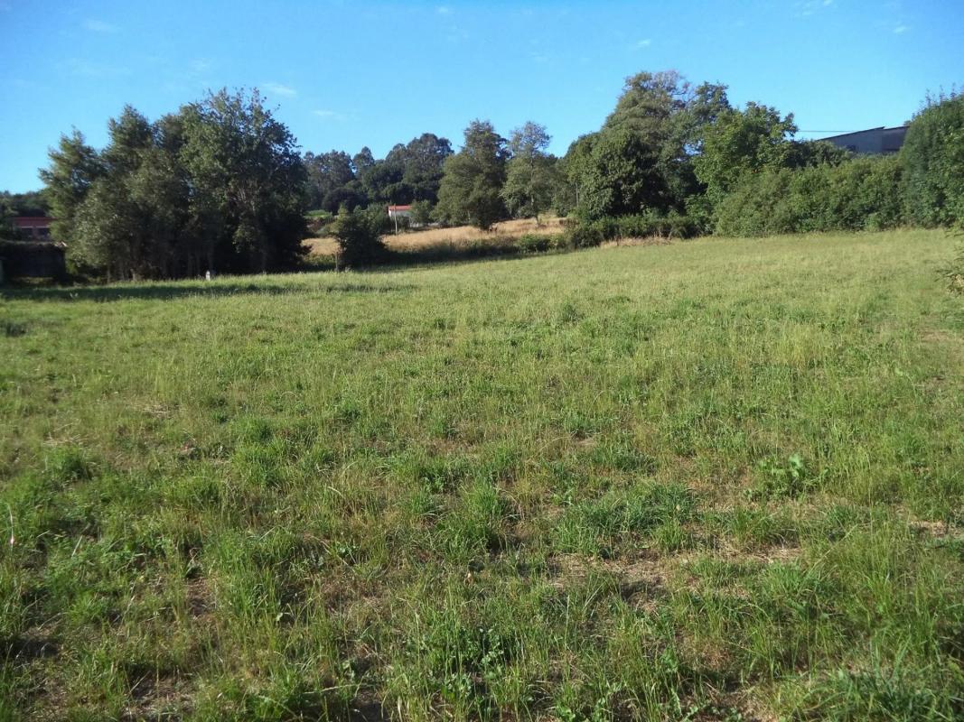 Terreno en venta en Abegondo, A Coruña photo 2