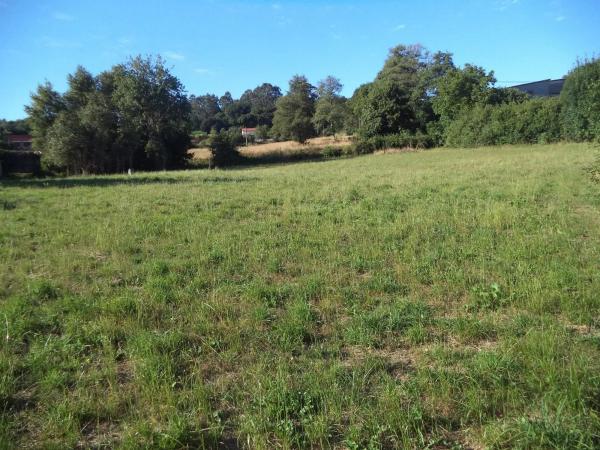 Terreno en Abegondo photo 2