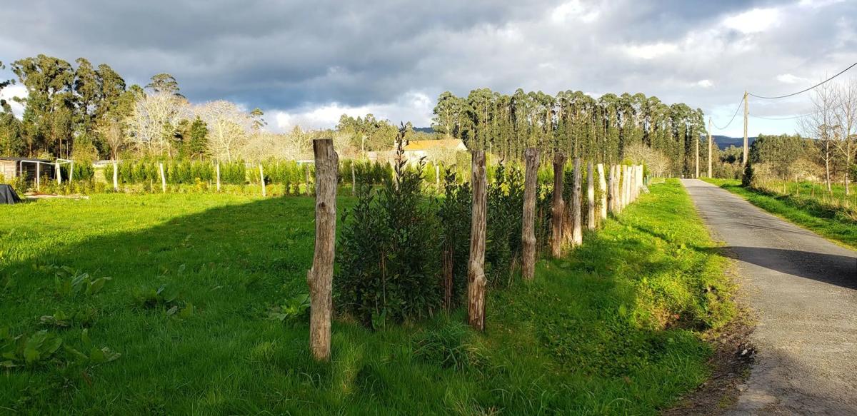 Land for sale in Irixoa, A Coruña photo 2
