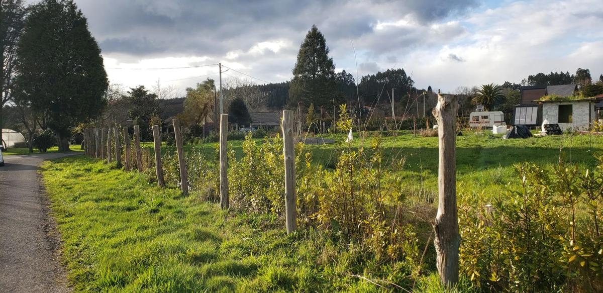 Land for sale in Irixoa, A Coruña photo 4
